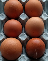 Burford brown eggs
