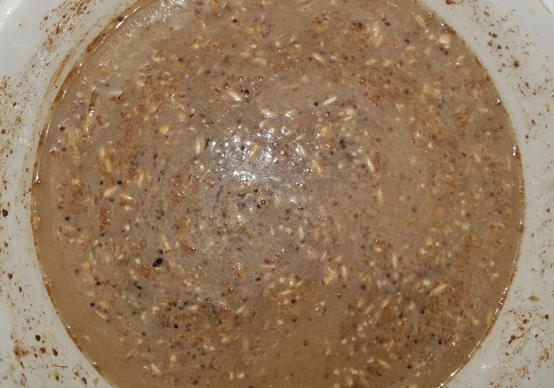 A batch of fermented chicken feed, ready to use.