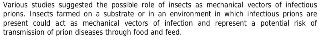 Why is it illegal to feed mealworms to chickens - Cluckin