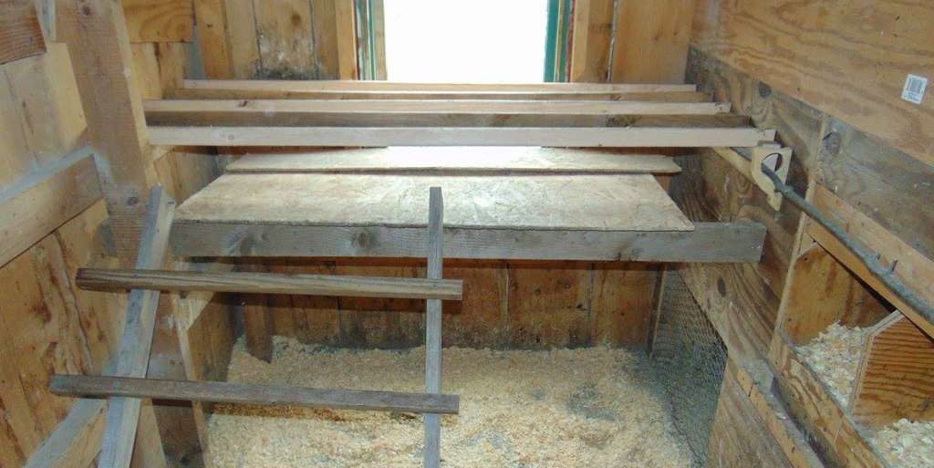 Poop or droppings boards in chicken coop make the keepers life much easier