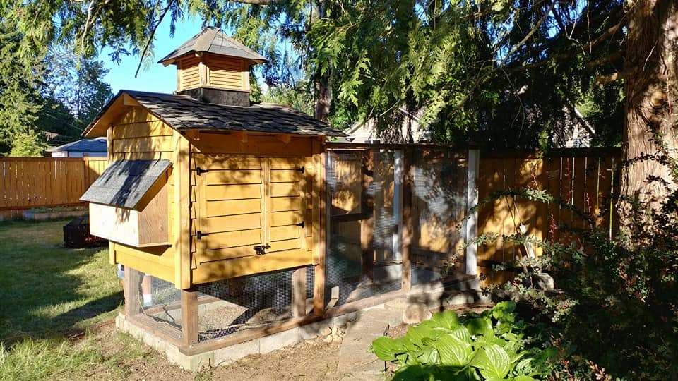 Should a coop face a particular way. This one provides both sun and shade.