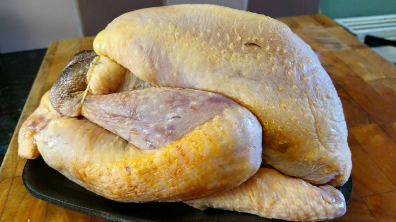 A home produced Guinea fowl prepared and trussed ready for cooking