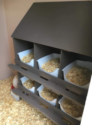 Chicken Nesting Boxes Everything You Need To Know Cluckin