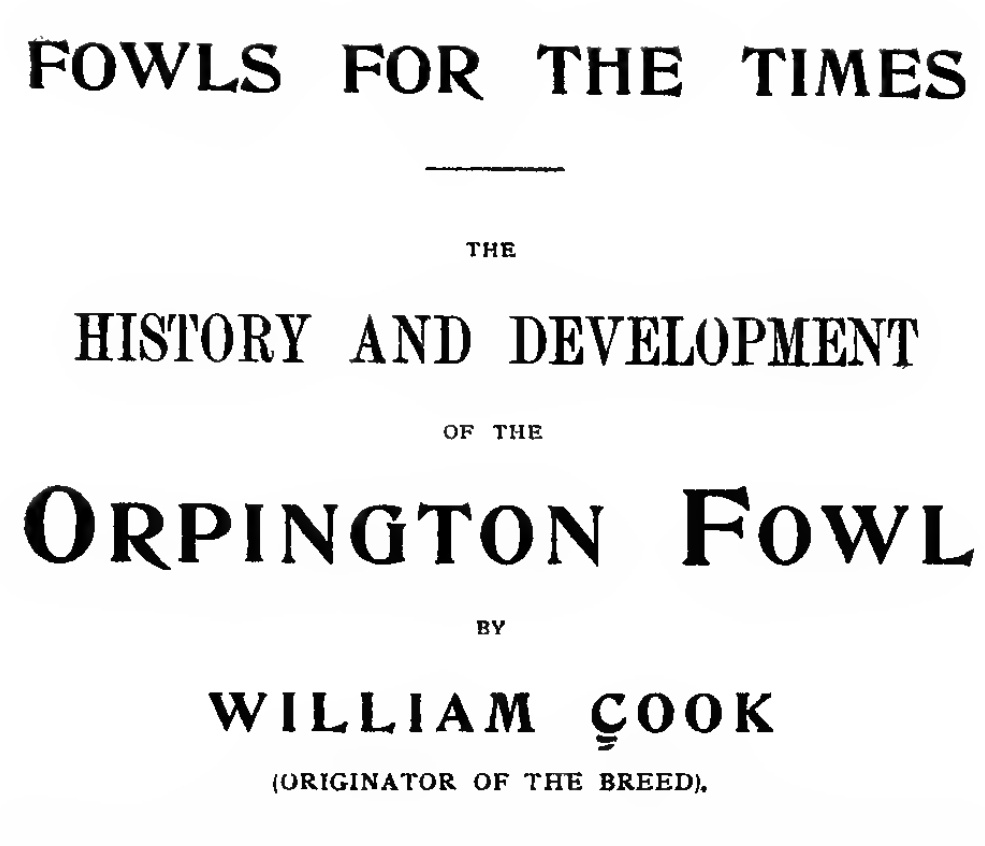 The origins, history and development of the orpington chicken.