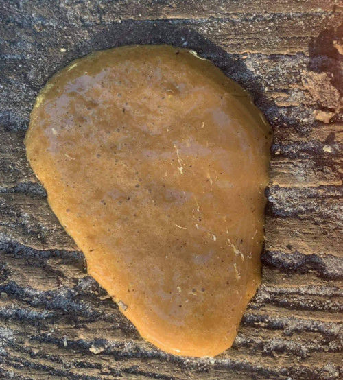 Diarrhoea in chickens. What causes it and how to deal with it. Cluckin