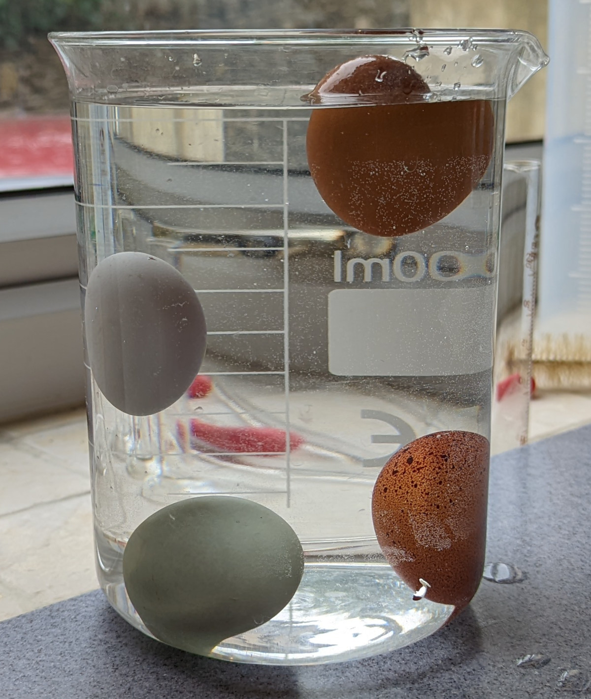 The floating egg method of testing the freshness of eggs with the results.