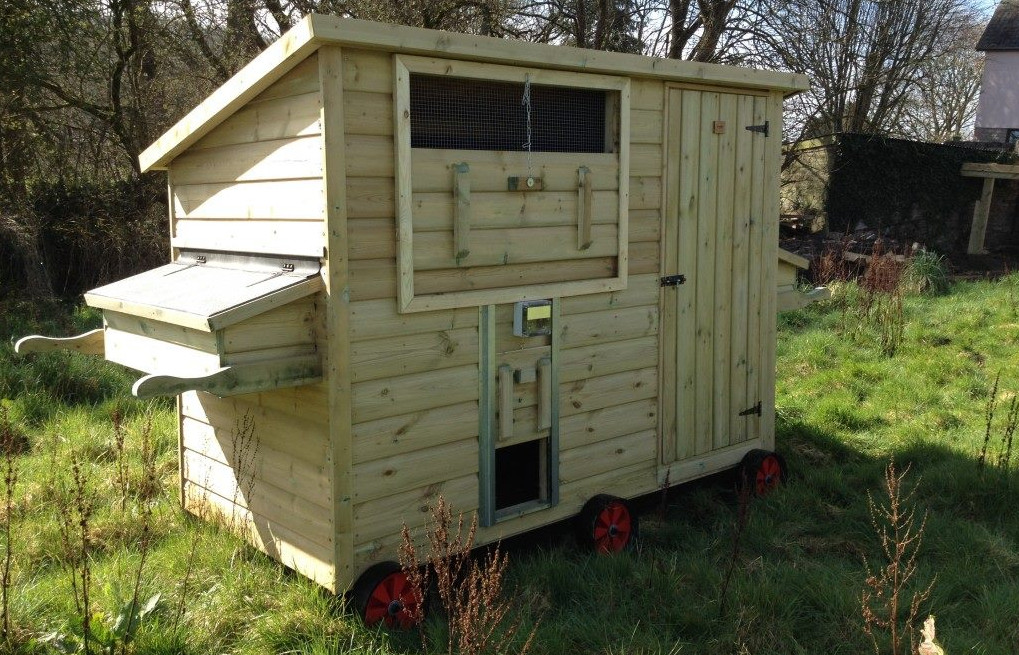 A pop hole in a home built chicken coop