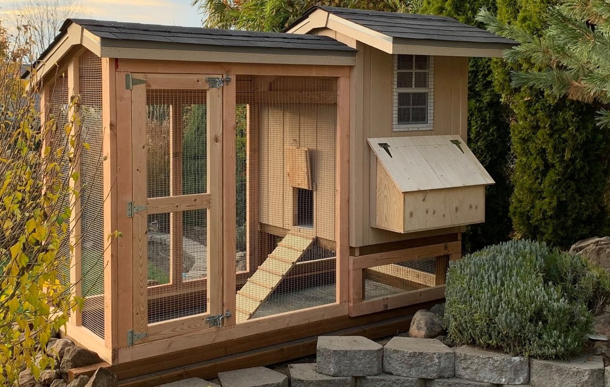 A chicken coop with the windows clearly visible.