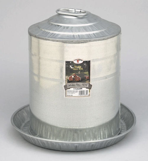 Wading through the watering of chickens! Cluckin