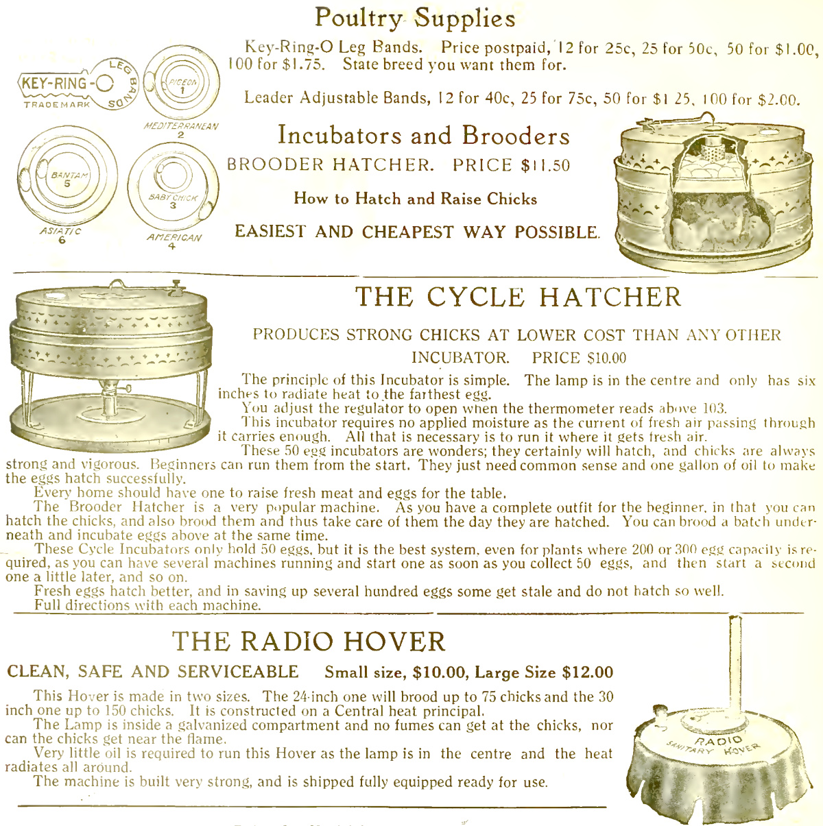 An image from 1910 showing an old incubator and brooder.