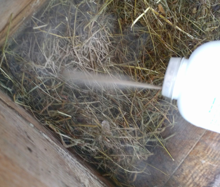 How, how much and where to apply diatomaceous earth to chickens and