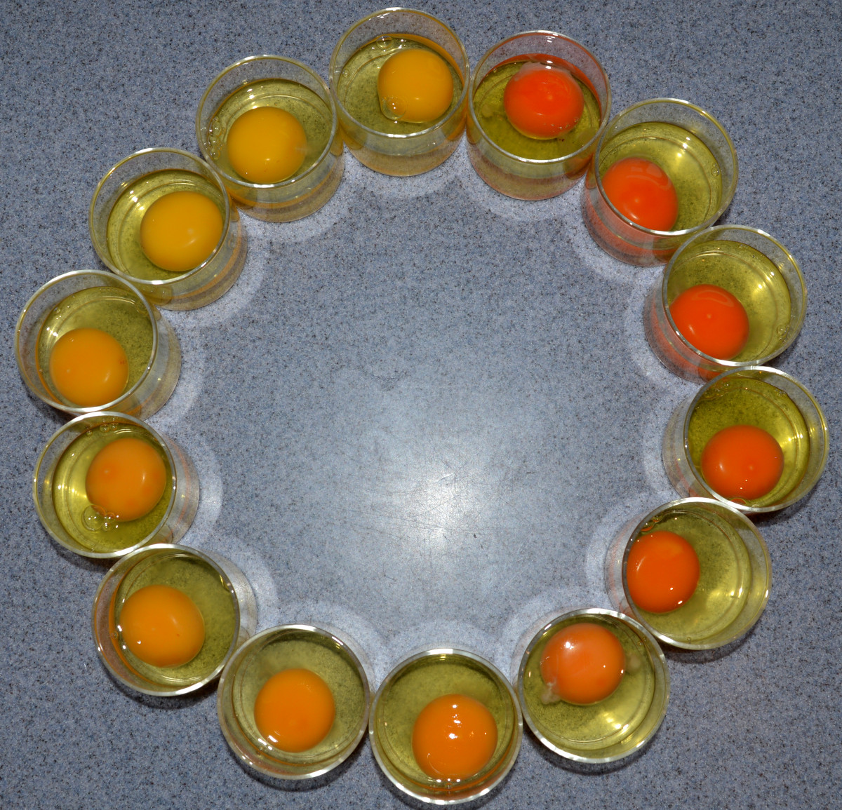 Egg yolk colour scale from pale yellow to bright orange