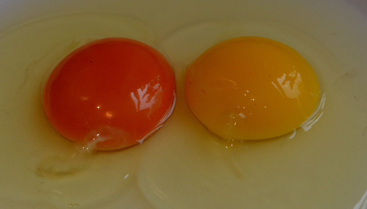 A comparison images of  the colour of my egg yolks before and after.