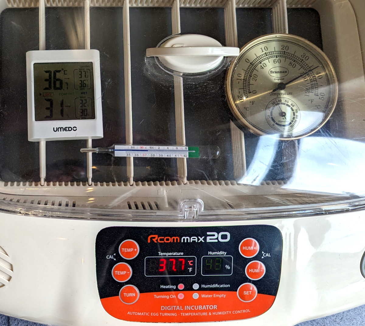 The correct conditions for setting up the incubator for dry incubation.